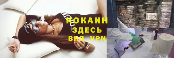 стаф Баксан