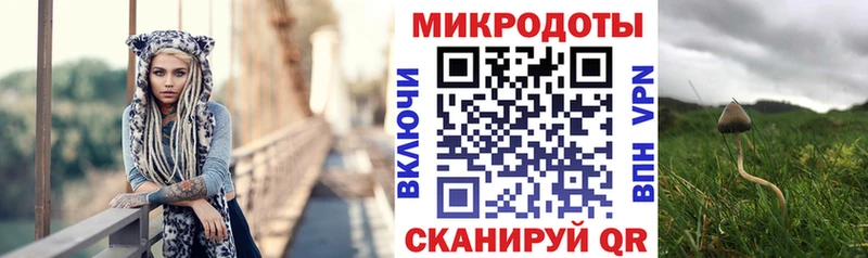 Псилоцибиновые грибы мицелий  закладка  Томмот 